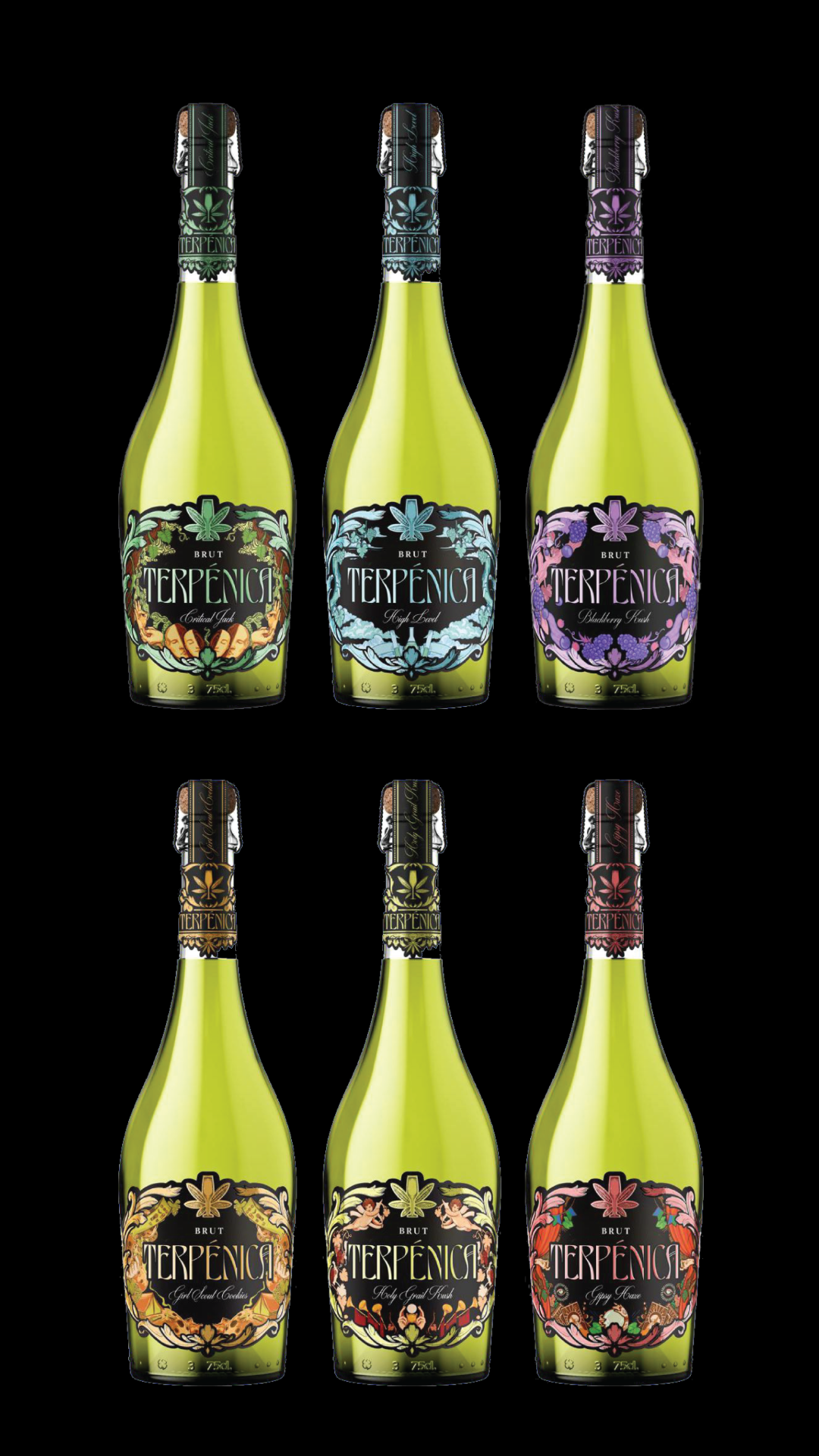 Terpenica sparkling wine bottles on black background