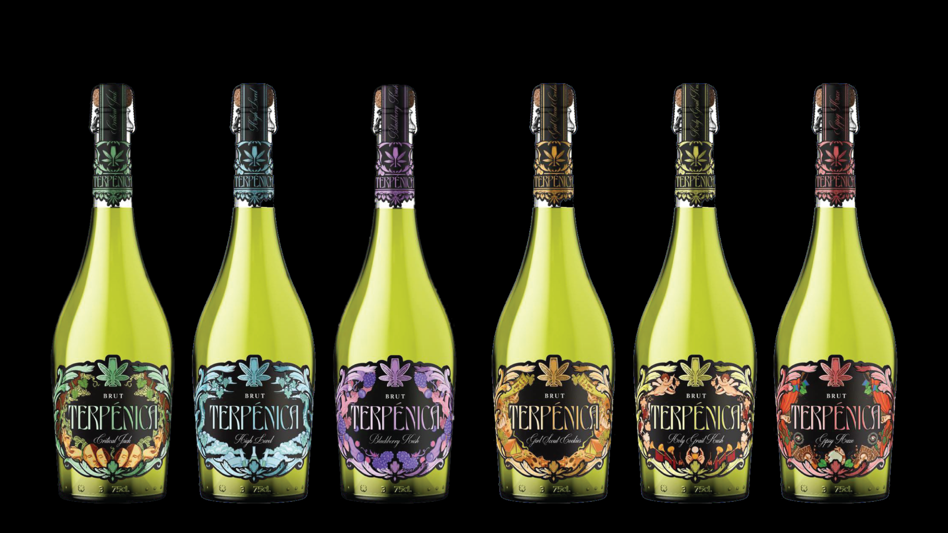 Terpenica sparkling wine bottles on black background